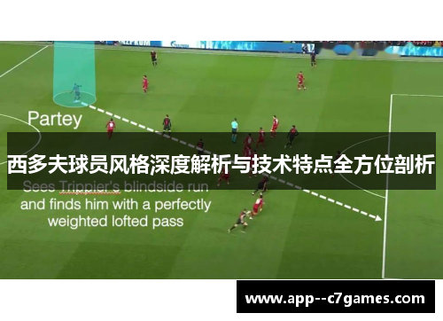 西多夫球员风格深度解析与技术特点全方位剖析